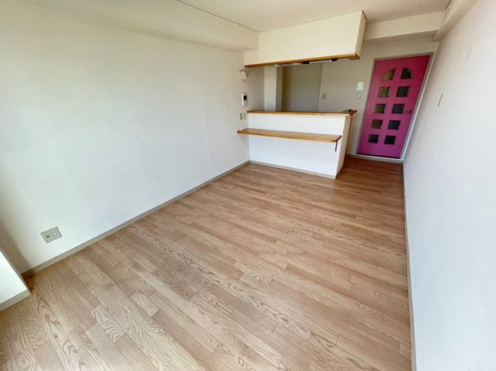 大阪府大阪市西成区松3丁目(マンション)の賃貸物件の居間