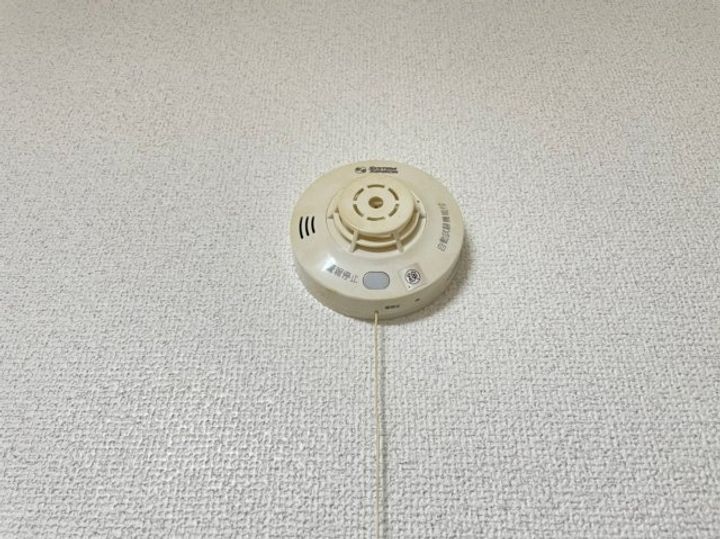 大阪府大阪市西成区天下茶屋1丁目(マンション)の賃貸物件のその他画像