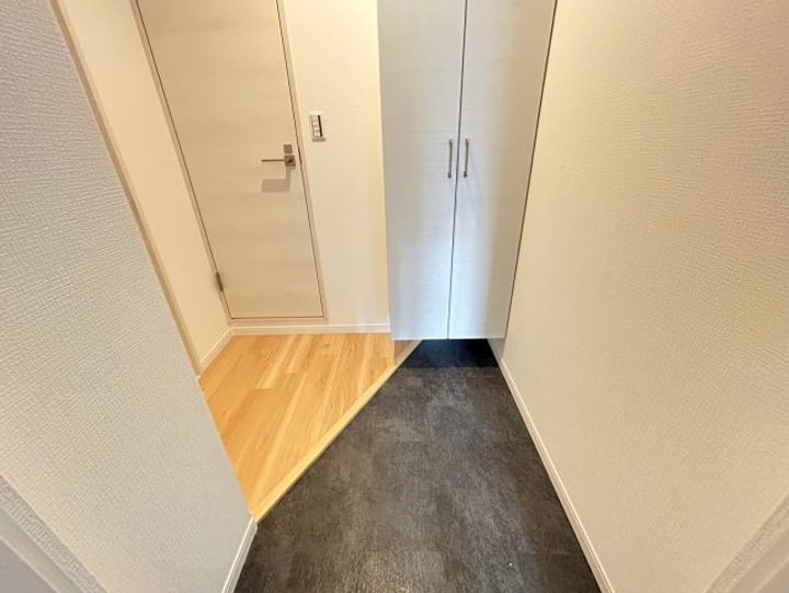大阪府大阪市西成区天下茶屋東1丁目(マンション)の賃貸物件の玄関