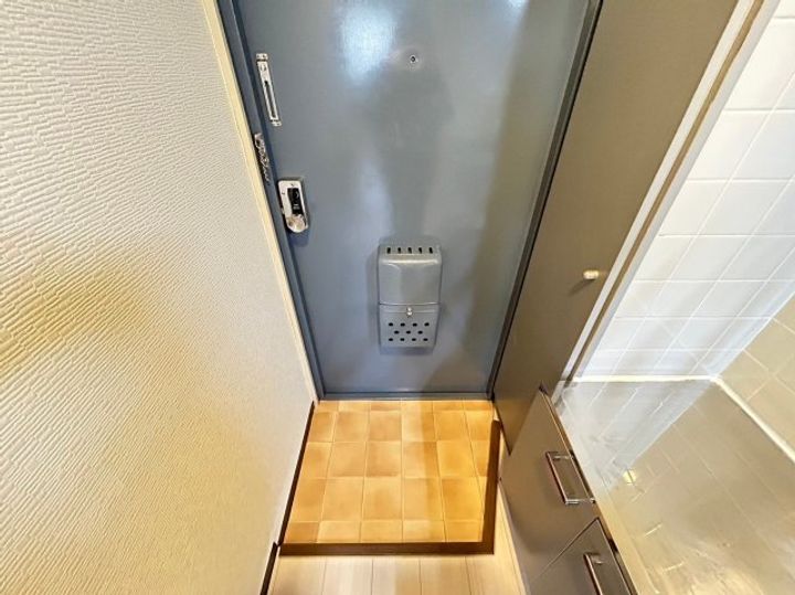 大阪府大阪市西成区松3丁目(マンション)の賃貸物件の玄関
