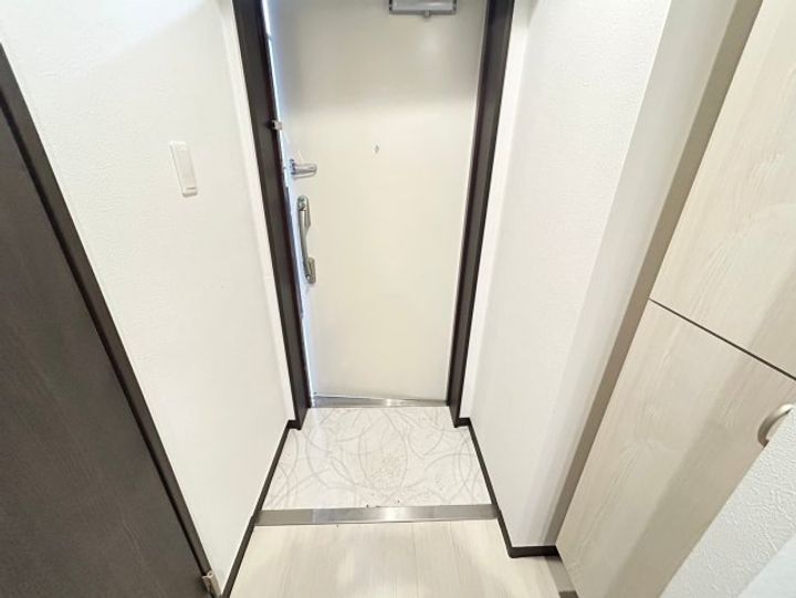 大阪府大阪市西成区玉出中1丁目(マンション)の賃貸物件の玄関
