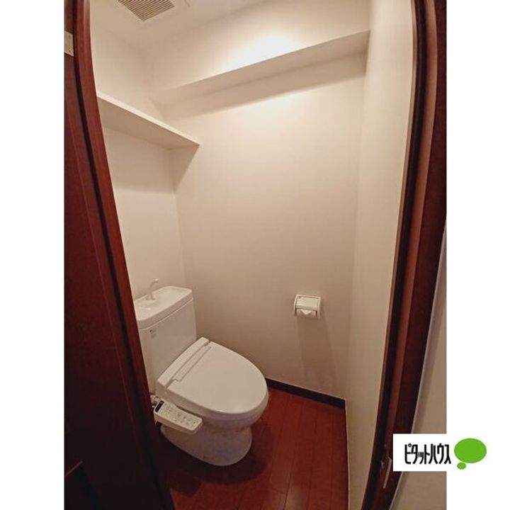 愛知県名古屋市昭和区山里町の賃貸マンションの内装