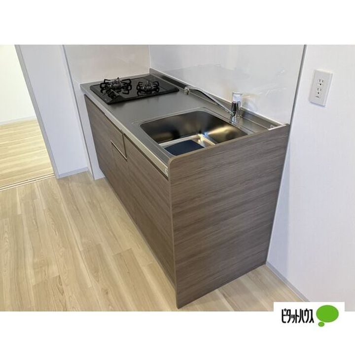 愛知県名古屋市南区曽池町3丁目の賃貸アパートのキッチン