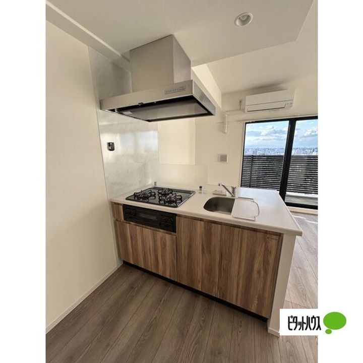 愛知県名古屋市南区駈上2丁目の賃貸マンションのキッチン