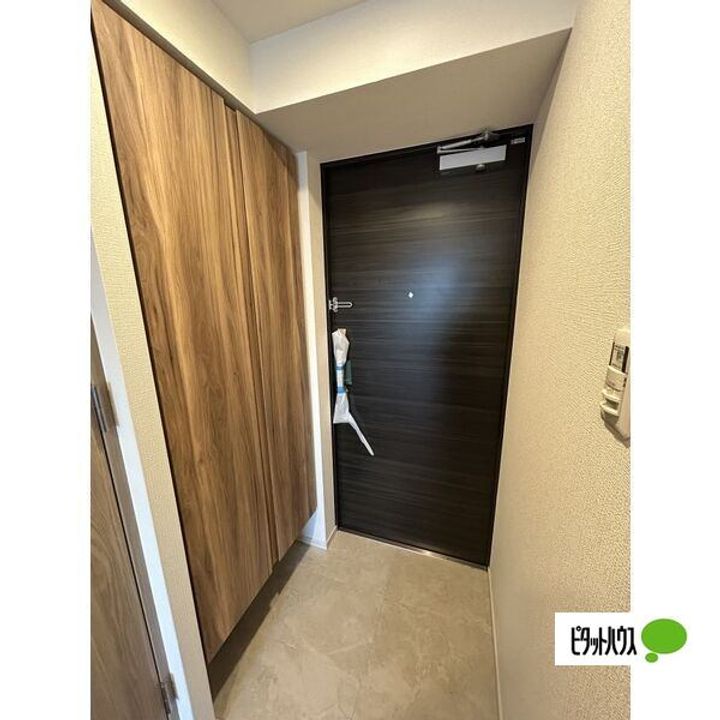 愛知県名古屋市南区駈上2丁目の賃貸マンションの玄関