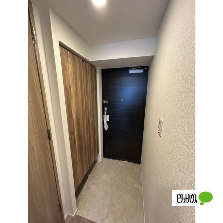 愛知県名古屋市南区駈上2丁目の賃貸マンションの玄関