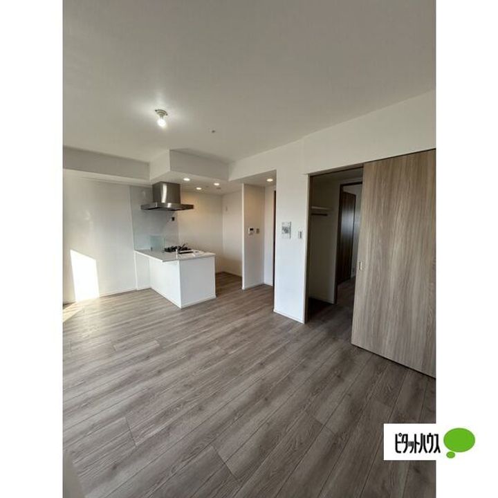 愛知県名古屋市南区駈上2丁目の賃貸マンションの居間