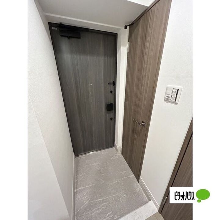 愛知県名古屋市緑区桃山3丁目の賃貸マンションの玄関