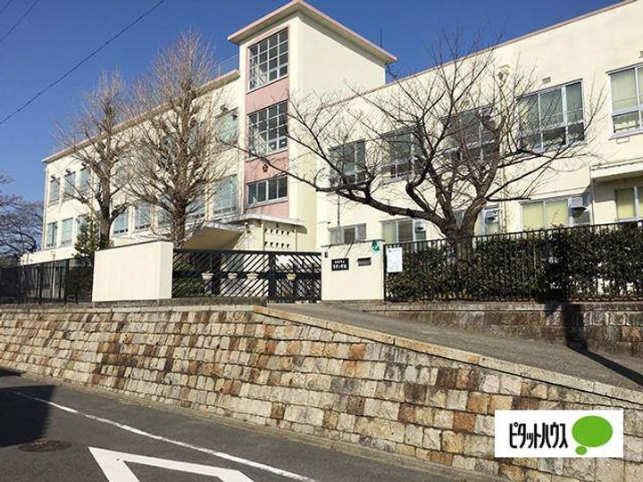 愛知県名古屋市南区星宮町(一戸建)の賃貸物件1の周辺