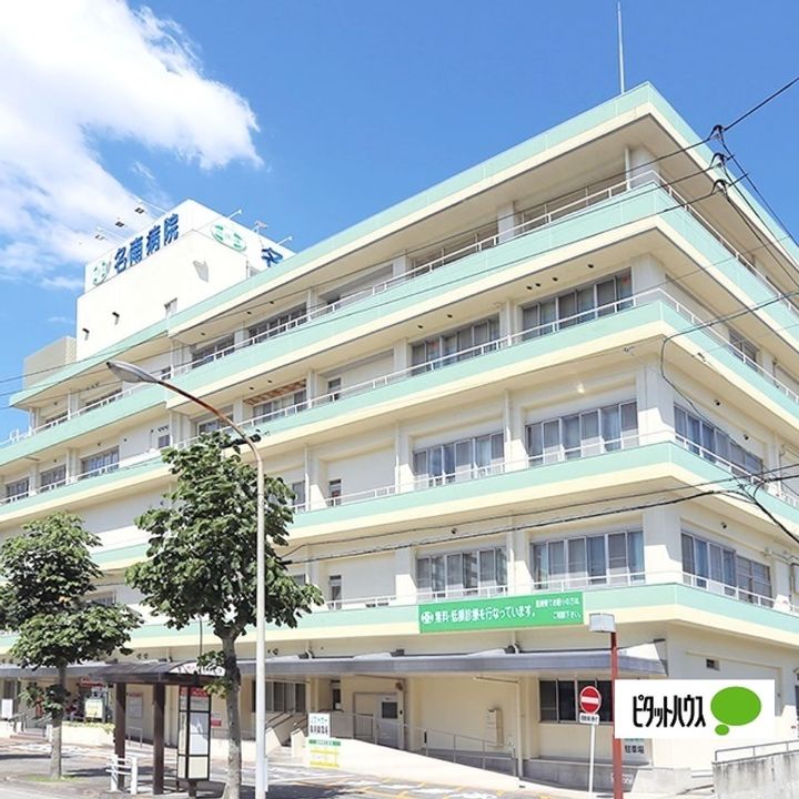 愛知県名古屋市南区道徳新町5丁目の賃貸マンションの周辺