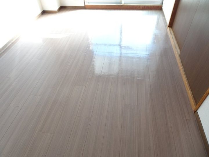 リバーサイドコートあづま505の内装