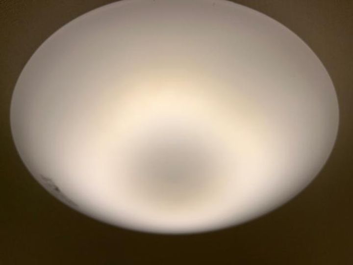 ケセラセラ サンのその他画像