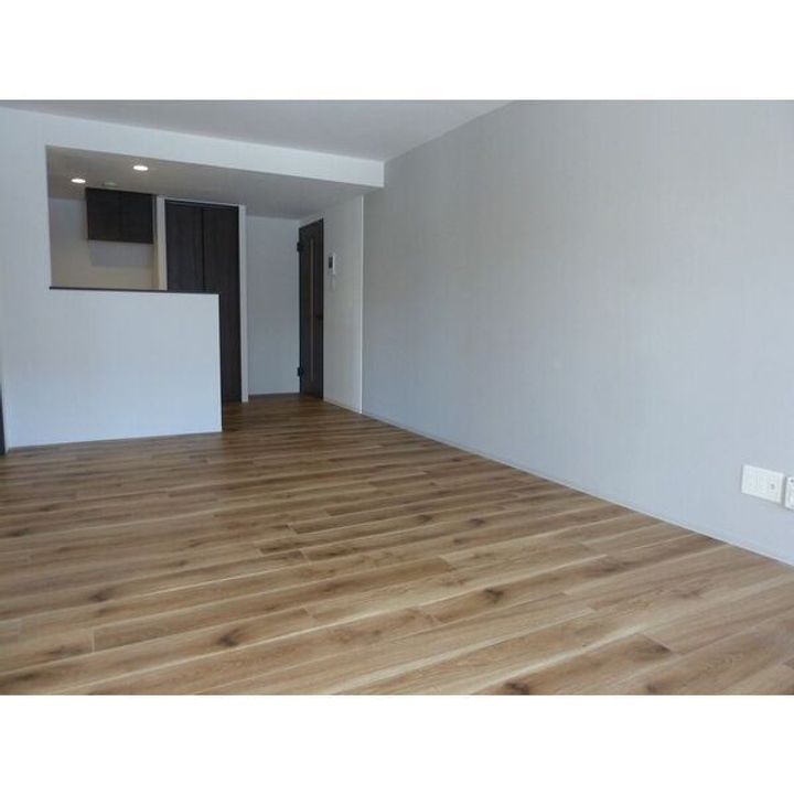 Apt.1 punana meli (アプトワン プナナメリのその他画像