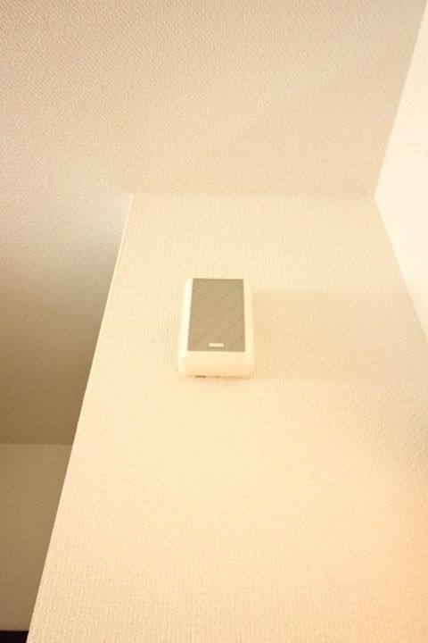 ロイヤルパレス彩佳A棟102のその他画像