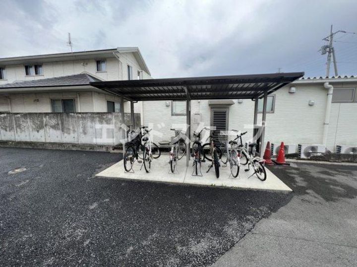 D-dreamのその他画像