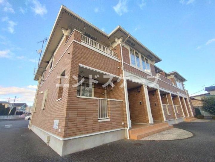 ファレノプシスの外観