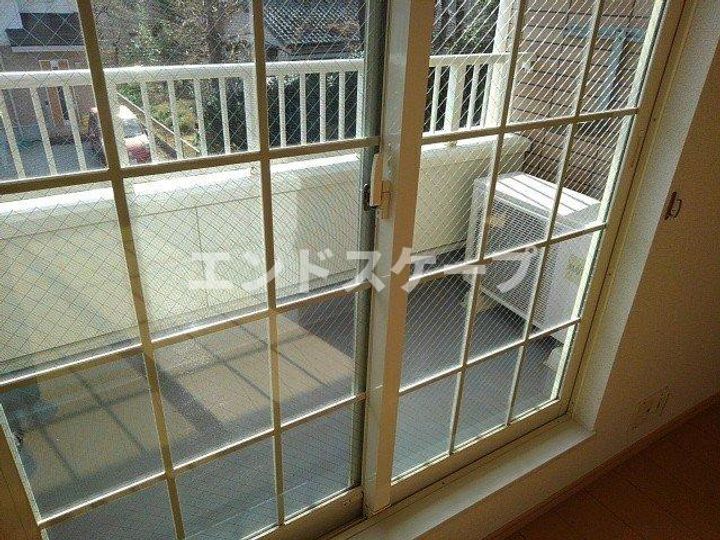 ファレノプシスのその他画像