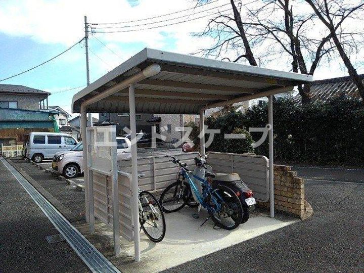 ファレノプシスのその他画像