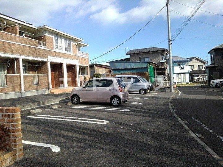 ファレノプシスのその他画像