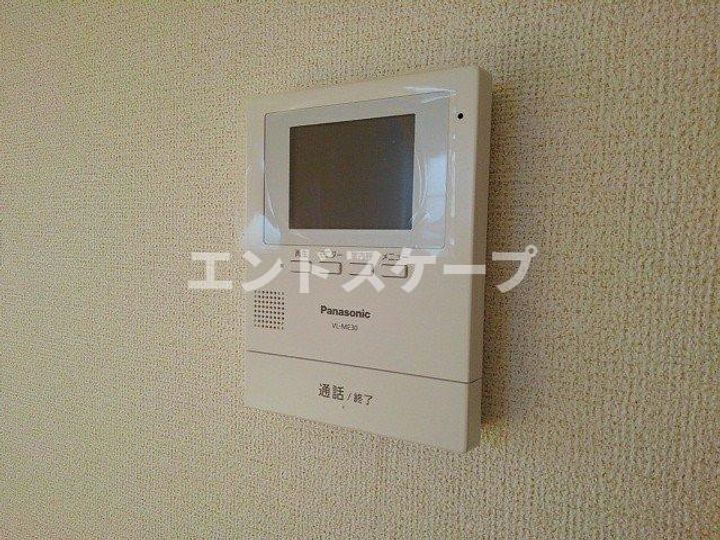 ファレノプシスのその他画像