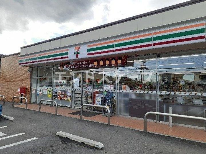 ファレノプシスの周辺