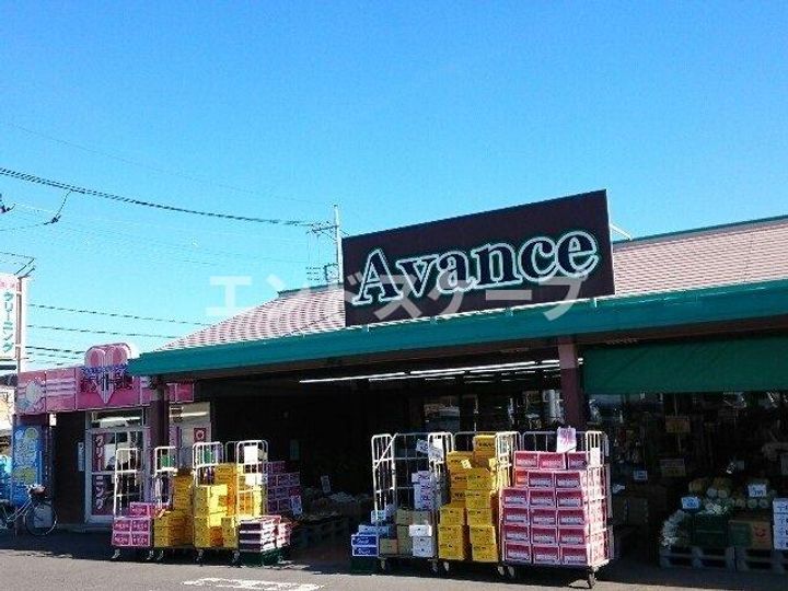 ファレノプシスの周辺