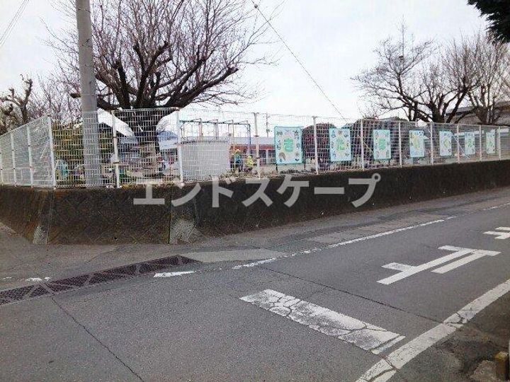 ファレノプシスの周辺