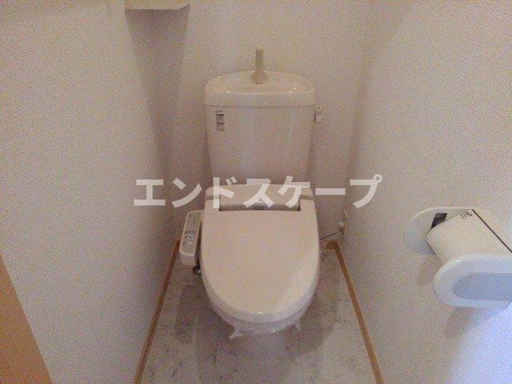 ファレノプシスのその他画像