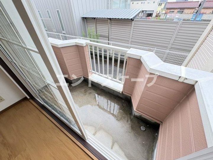 プチマロンのその他画像