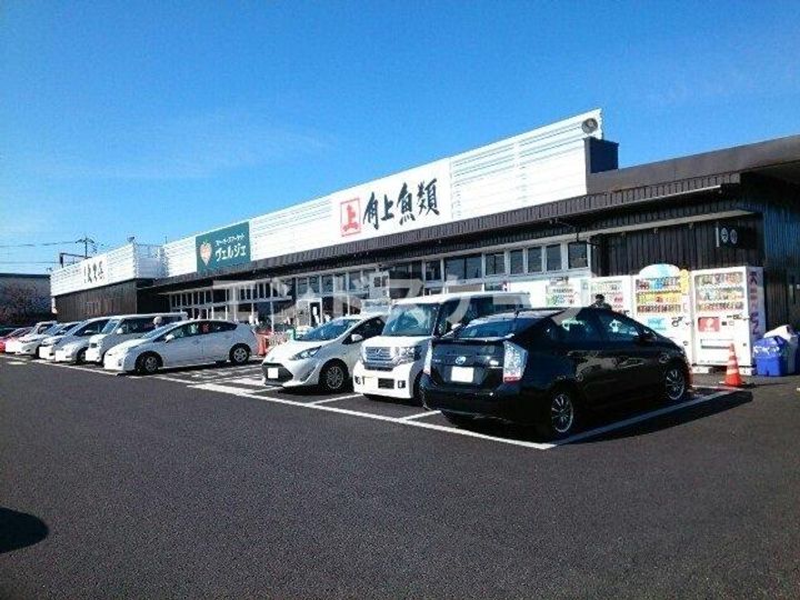 カトレアハイツの周辺
