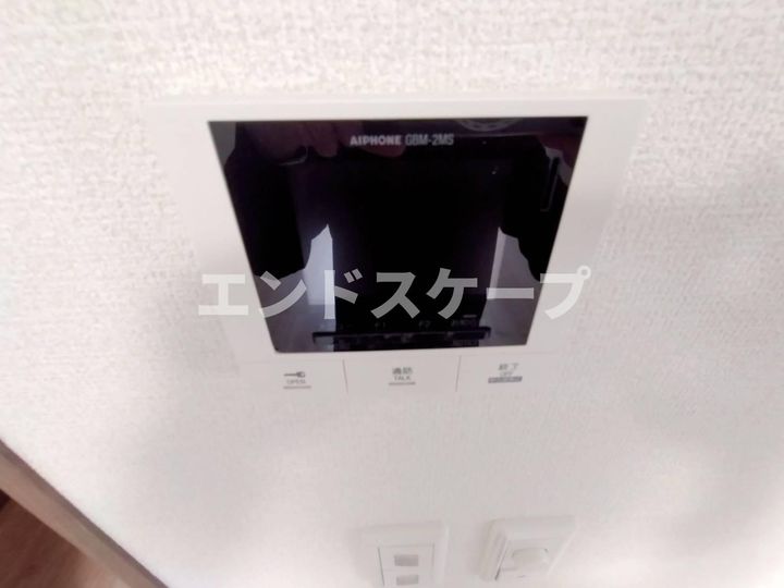 マヌールのその他画像