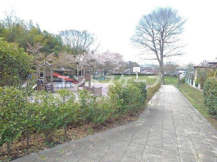 カーサ モレラの周辺