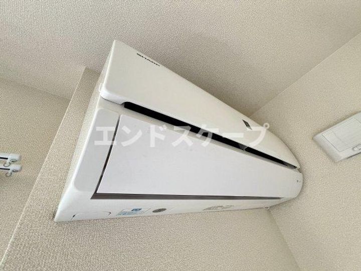 サラ スリールのその他画像