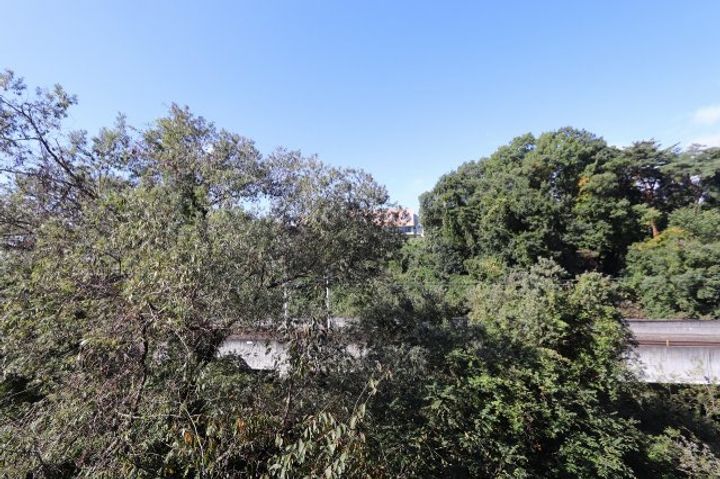 リーベンス黒松のその他画像