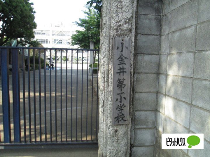 東京都小金井市中町3丁目の賃貸マンションの周辺
