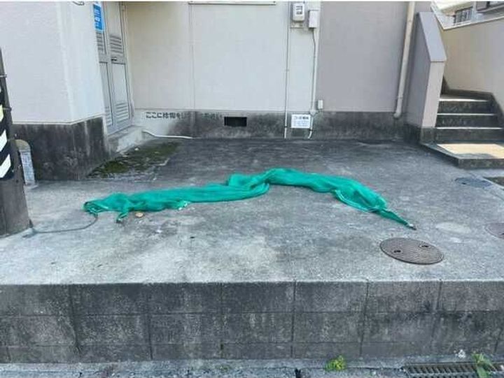 コーポ桐林のその他画像