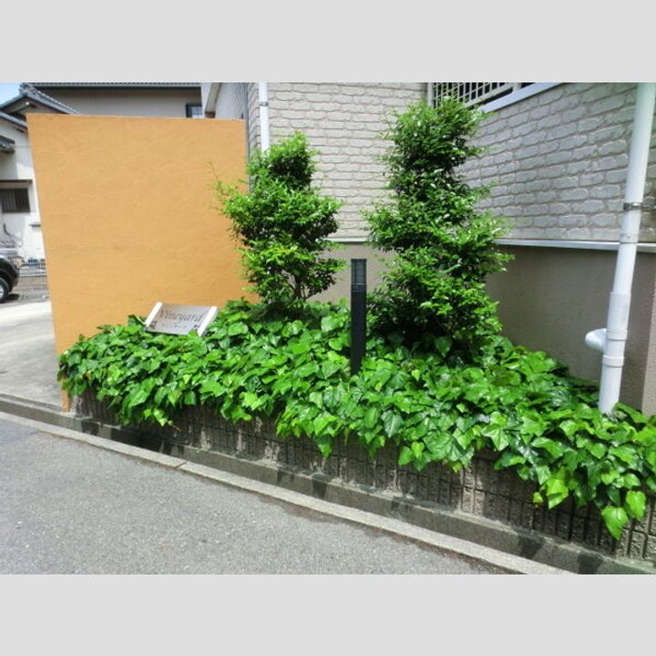 ヴィンヤードのその他画像
