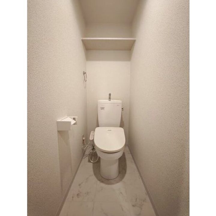 レジーナ鳥居松102のその他画像