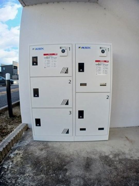 カモミールのその他画像