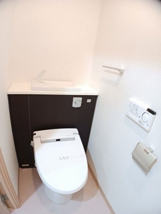 カモミールのその他画像