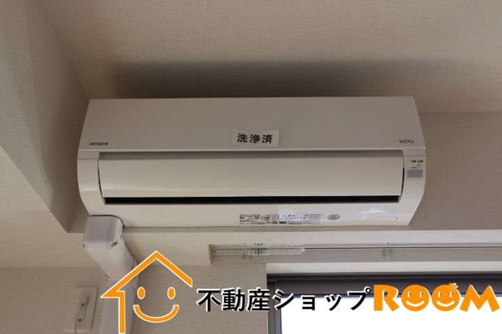 プレシャス・モカのその他画像