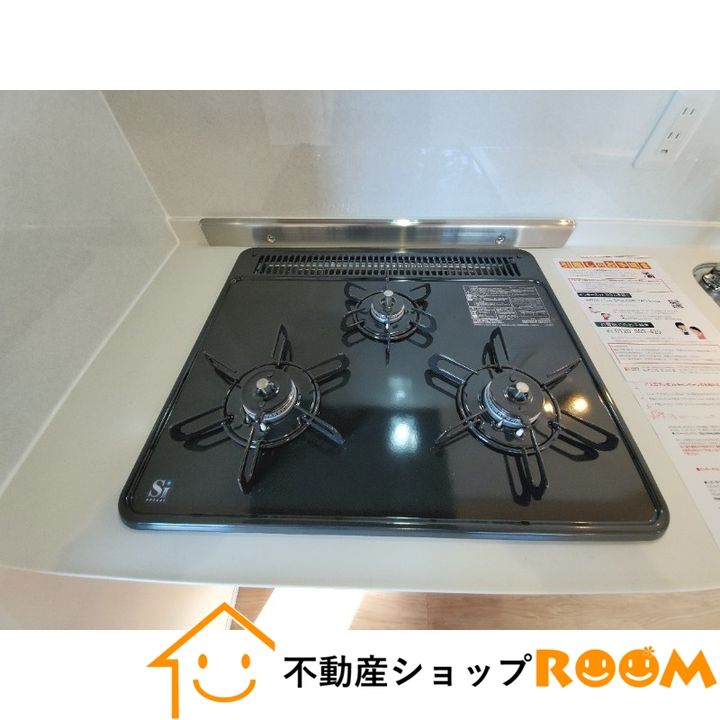 ティーレグノ羽犬塚B棟201の玄関