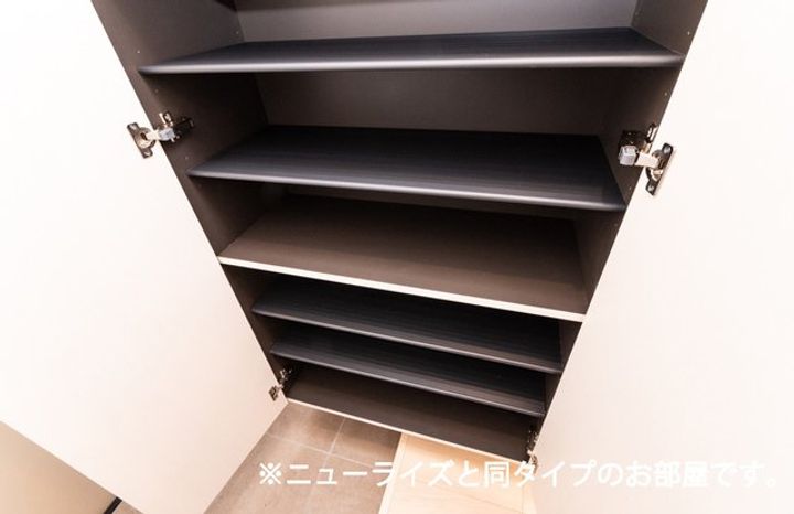 シトラス・メモリーのその他画像