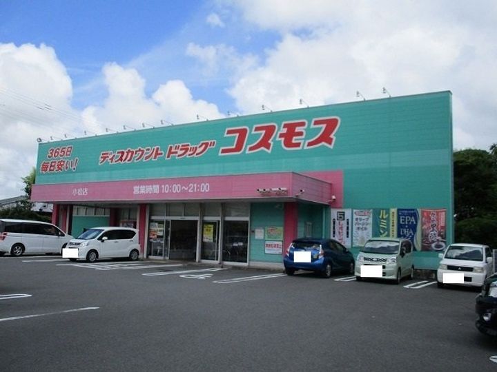 シトラス・メモリーの周辺
