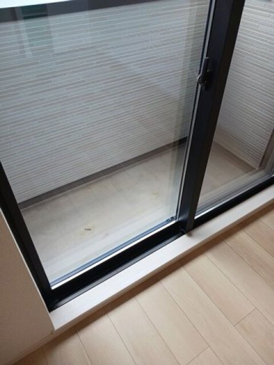 ペンサミエントのその他画像