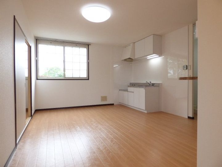 グリーンヴィレッジ高橋A203のキッチン