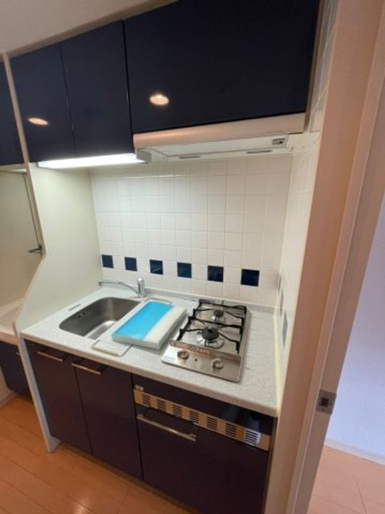 プレサンス泉シティアークのキッチン