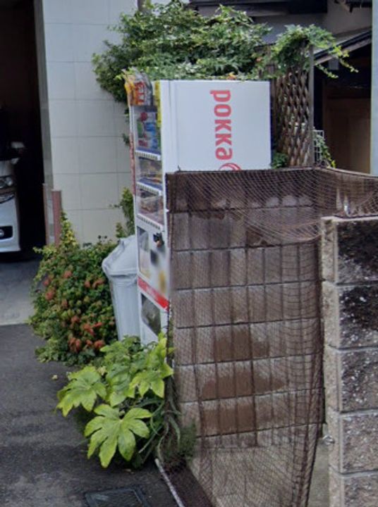 Nani Lai(ナニ レイ)のその他画像