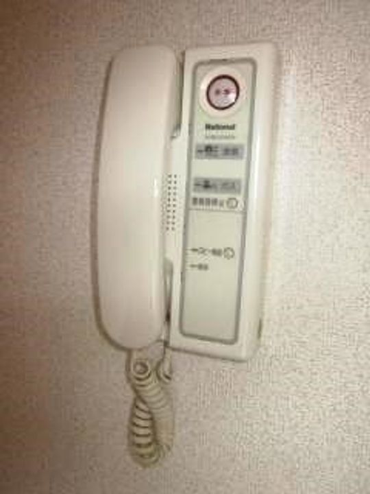 セレブ洋のその他画像