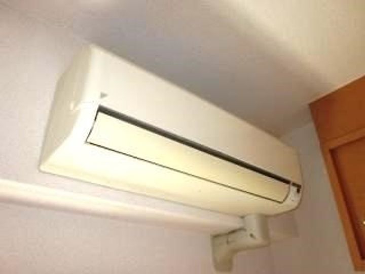 セレブ洋のその他画像